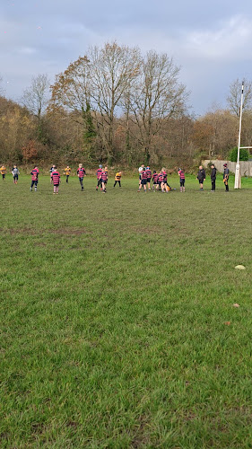 Telford Hornets Rugby Club RFC