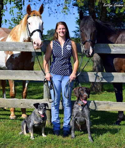 Animal Medical Hospital at Glenwood