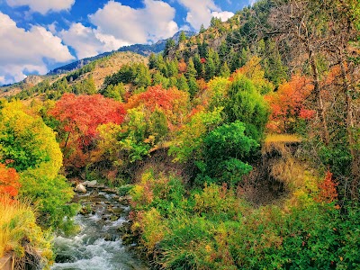 Uinta-Wasatch-Cache National Forest