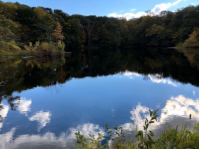 Weir Pond