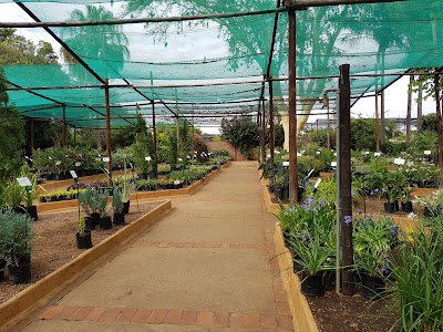 Photos of Sanitas Tea Garden