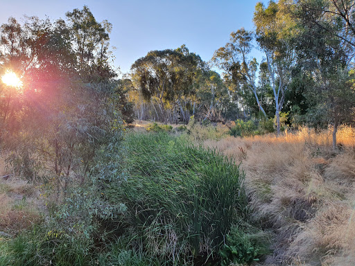 Campbells creek track