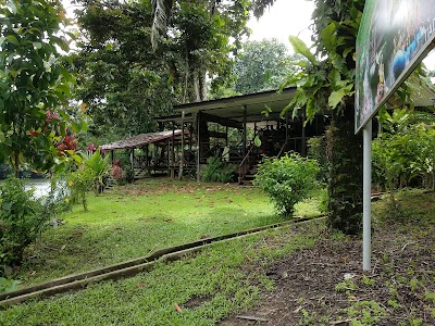 Photos of Peradayan Forest Reserve