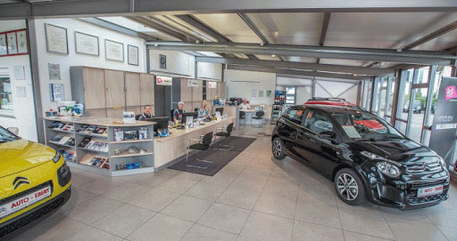 Auto Ebert - Visual
