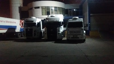 moving-company