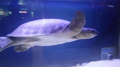 Photos of Fish Garden Blitar
