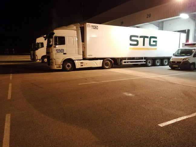STG Lorient - Societé de transport