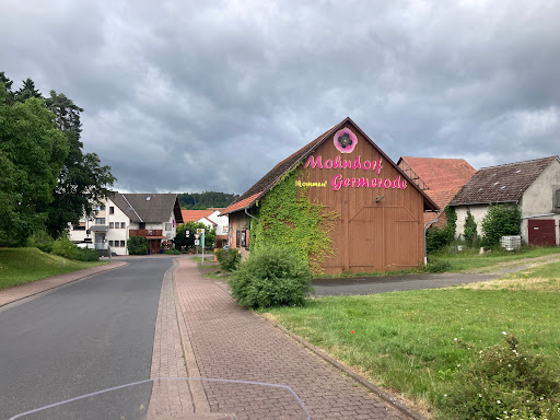 Mohn-Kino - Visual