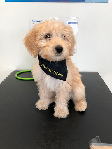 Barry's Vets - Thumbnail
