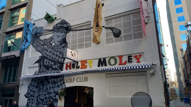 Holey Moley Golf Melbourne