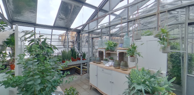 Gartenbau Nützi AG