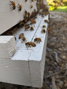 Locust Ridge Honey and Produce 645 Barnes St, Philadelphia, PA 19128