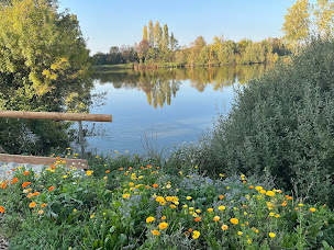 Photo n°54 de Restaurant l'Ile Chaumette à Épervans (Restaurant français)