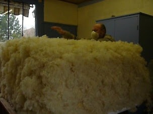 Photo n°4 de La maison du Matelassier à Bonnières (Tapissier décorateur)