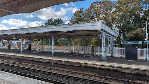 Selhurst - Visual