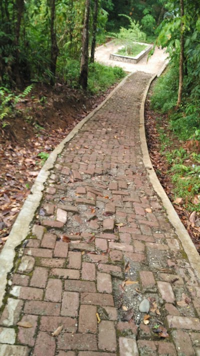 Photos of Hutan Kota Arga Makmur