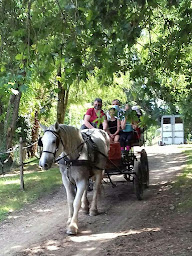 Photo n°7 de ECOLE D EQUITATION DE GENEBRIERES à Génébrières (Centre équestre)