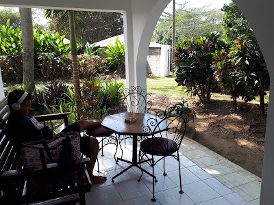 Photos of Negril Yoga Centre