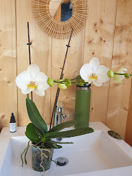 Photo n°2 de Aurore Barat Soins Traditionnels Chinois à Urrugne (Centre d'acupuncture)