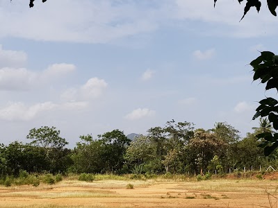 Photos of Hombawa Maha Vidyalaya