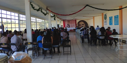 CASA DEL MFC ZAPOTLANEJO - Thumbnail