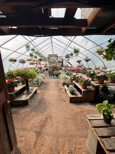 Tenney Farm - Thumbnail