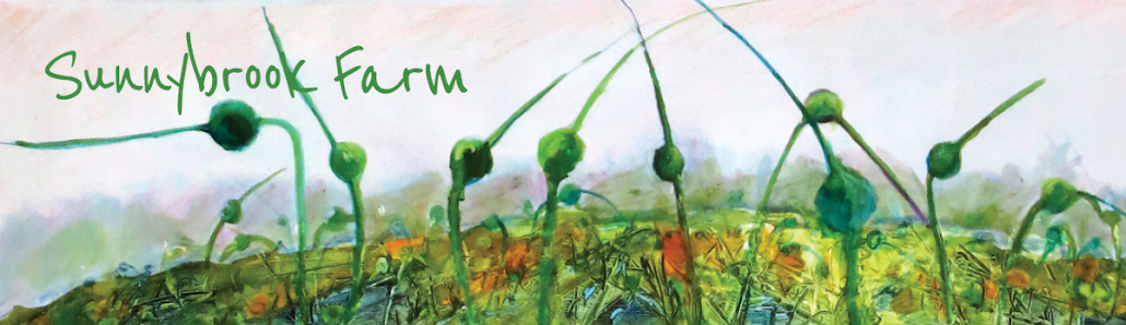 Sunnybrook Farm 142 Upper Sunny Brook Rd, Middlesex, VT 05602, United States