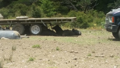 Photos of Papa Aroha Holiday Park