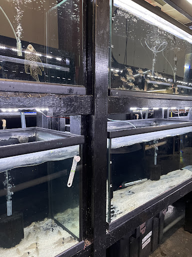 Houston Aquarium Warehouse - Thumbnail