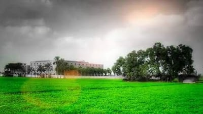Photos of كلية التربية جامعة الأزهر تفهنا الأشراف