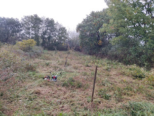 Photo n°10 de Brico Jardinier à Corme-Royal (Jardinier)