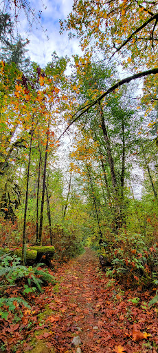 Gary Patrick Trail - Visual