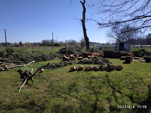 Photo n°5 de Alfonso Elagage à Val de Virvée (Service d'élagage)