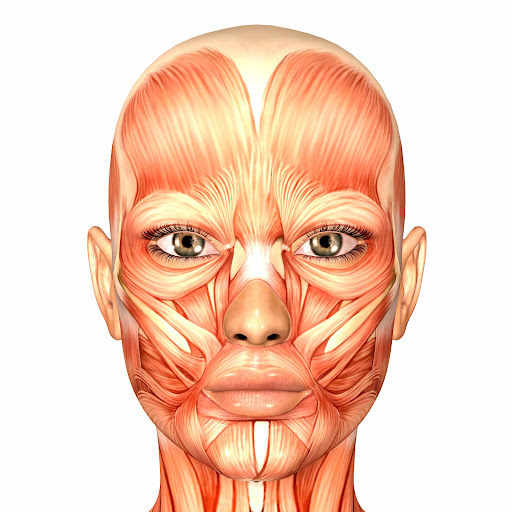 Dalston Dermal - Visual