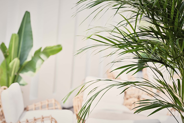 Palmyard Hotel by null