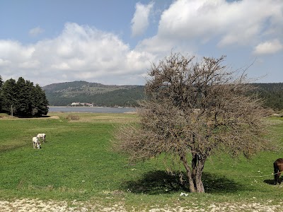 Abant Gölü Çadır Kamp Alanı