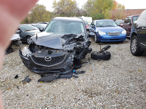 Collision XS - Visual