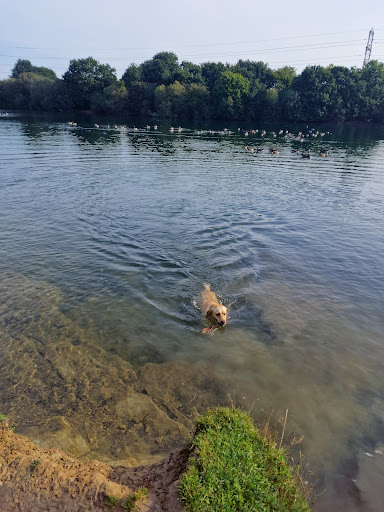 Ensors Pool - Visual