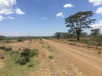 Photos of Mutara Shopping Centre