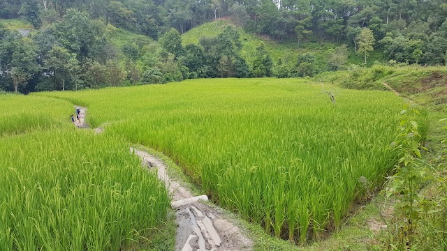 Blue Elephant Thailand Tours