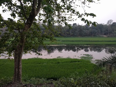 Photos of Kotchandpur Pilot Secondary School