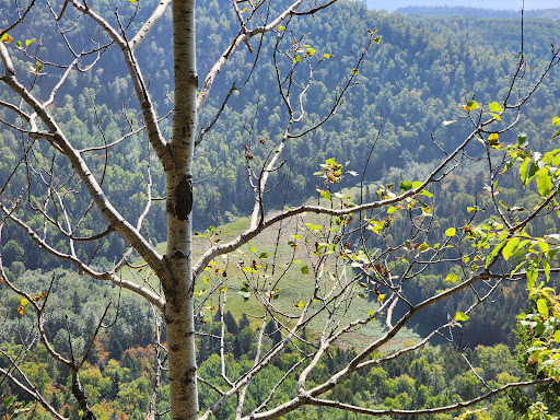 Top of the Giant Trail - Thumbnail