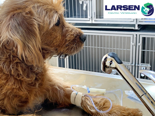Centro Veterinario Larsen