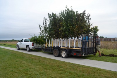 Gunderson Funeral Home & Cremation Services