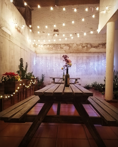 Taller 514 - Visual
