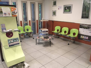 Photo n°25 de Clinique vétérinaire du Pays de Brive à Brive-la-Gaillarde (Clinique vétérinaire)