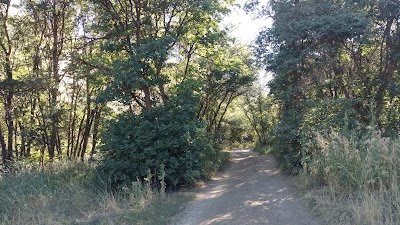 Photos of Uinta-Wasatch-Cache National Forest