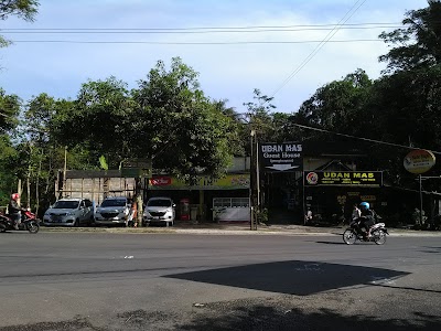Photos of Udan Mas Guesthouse & Gallery