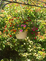 Photo n°16 de Villa Toulousaine à Grisolles (Pension de famille)