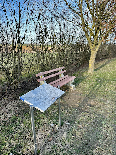 Schlacht bei Elchingen - Thumbnail
